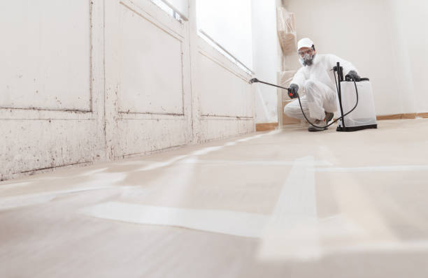 24/7 Emergency Mold Remediation experts in Hershey, PA