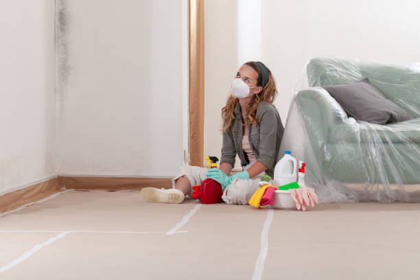 Reliable Mold Remediation contractor in Hershey, PA by WQB Mold Removal